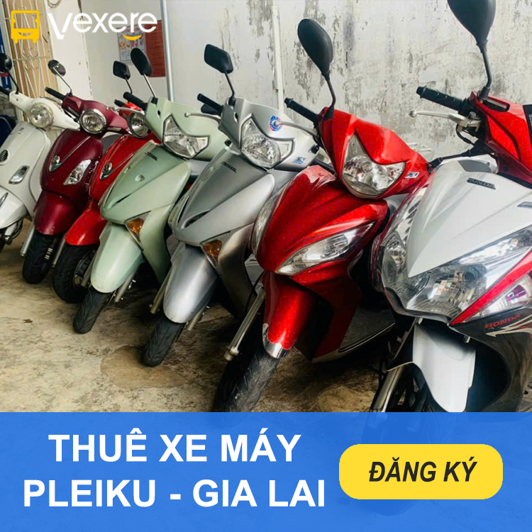 TXM Pleiku Gia Lai